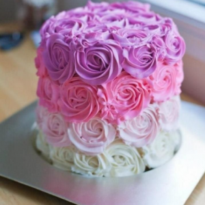 Pink and purple rosette